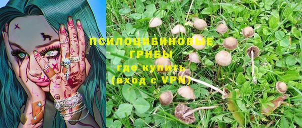 соль курить ск Новосибирск