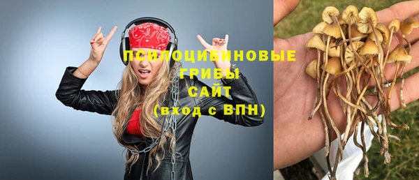 ECSTASY Ессентукская