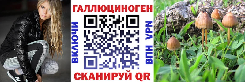 Псилоцибиновые грибы Psilocybine cubensis Лукоянов